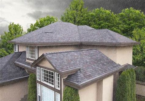 Shingle Magic: The Ultimate Solution for Roof Maintenance - A Comprehensive Review